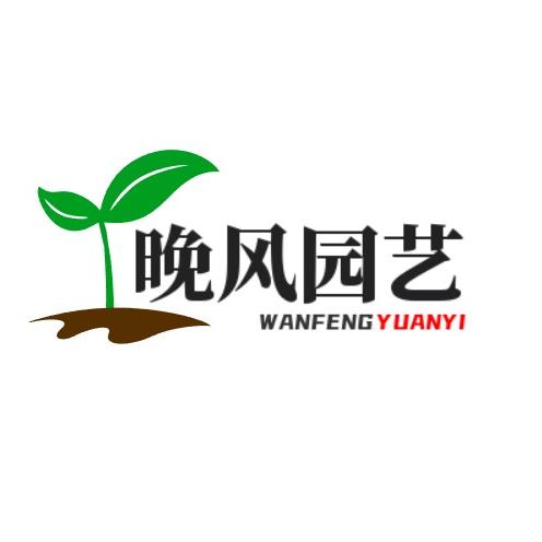 晚风园艺