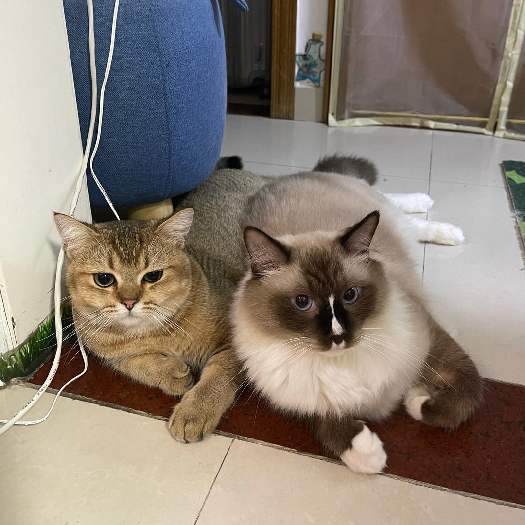 娟子在深圳