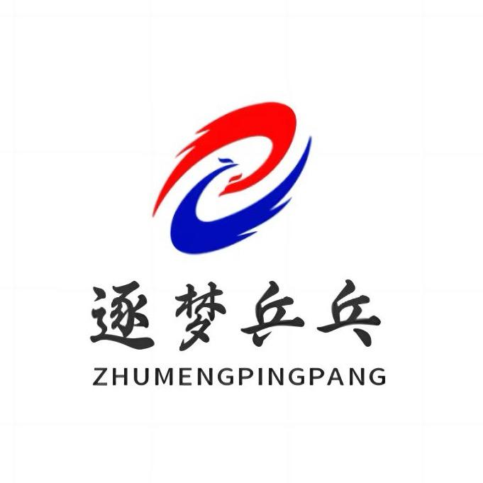 西安市逐梦乒乓