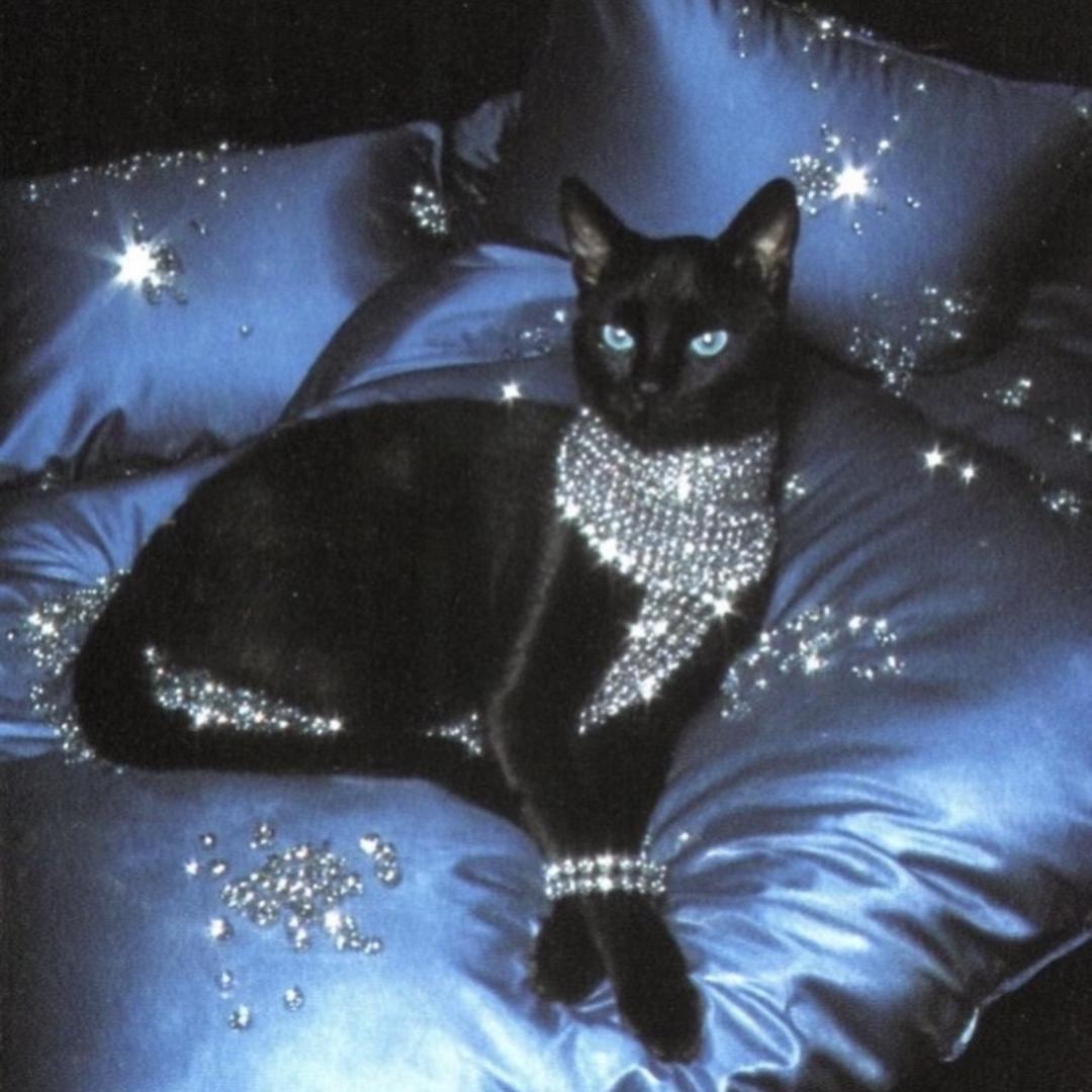 独醉花间月.𝑠𝑚