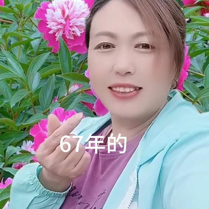 琴姐（单身）