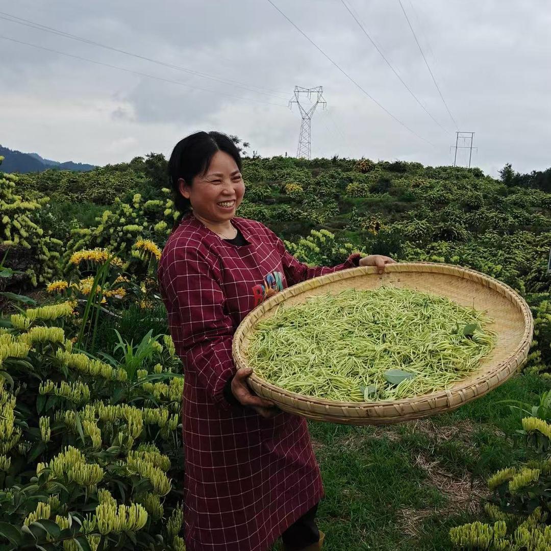 重庆圣百灵