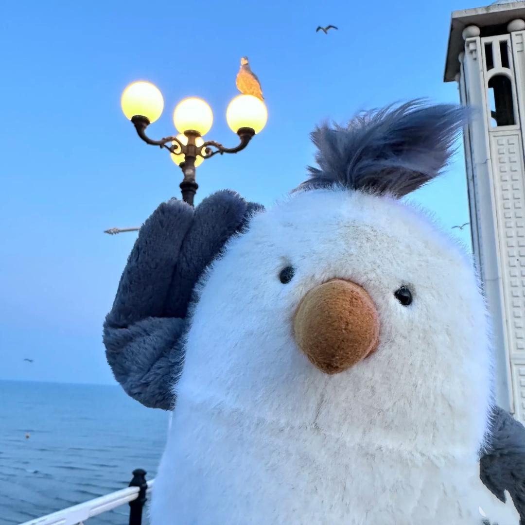小川🐒