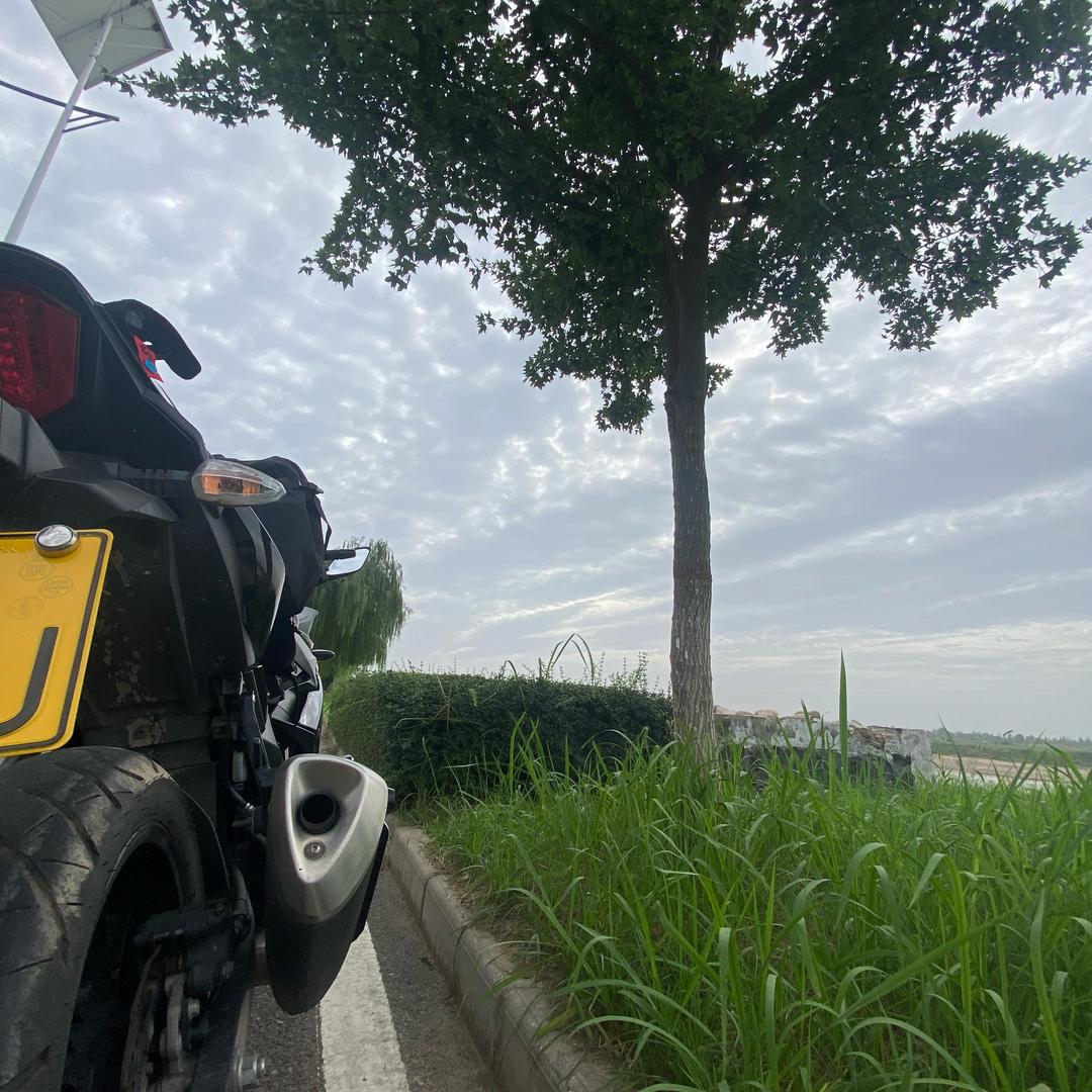 @忠义