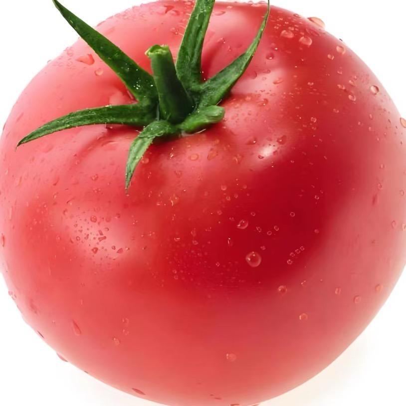 不忧郁的大番茄总