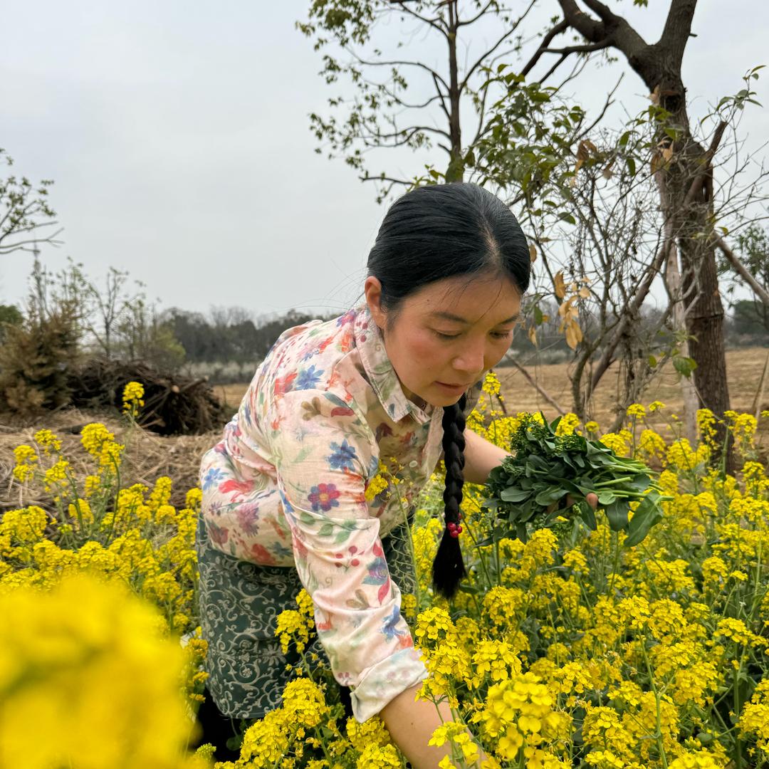 小玲(好物分享)