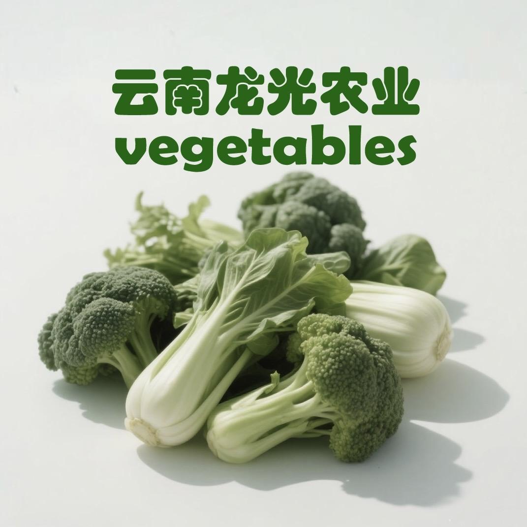 龙光蔬菜供应链