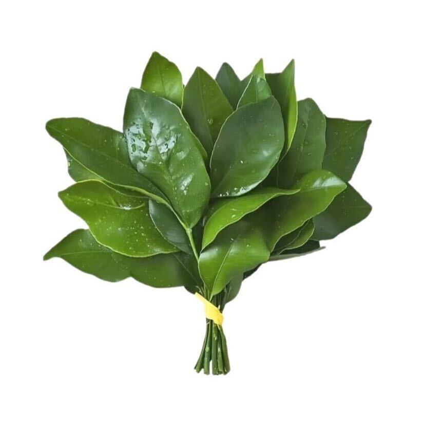别吵我睡觉