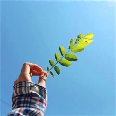 遇见@