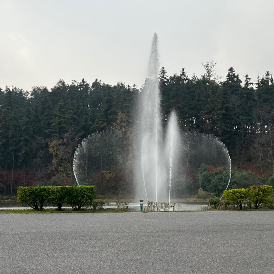 沐沐