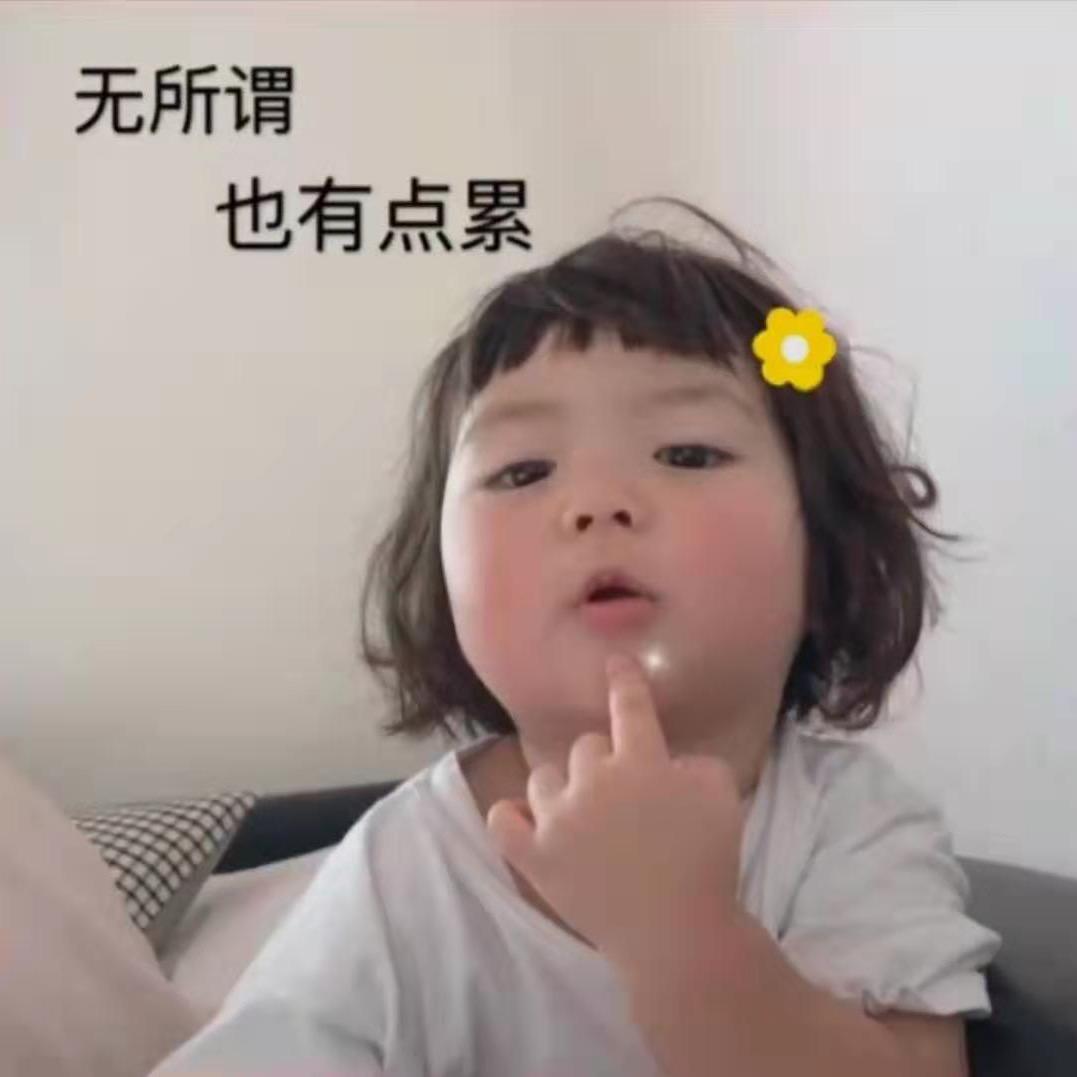 乖乖猫