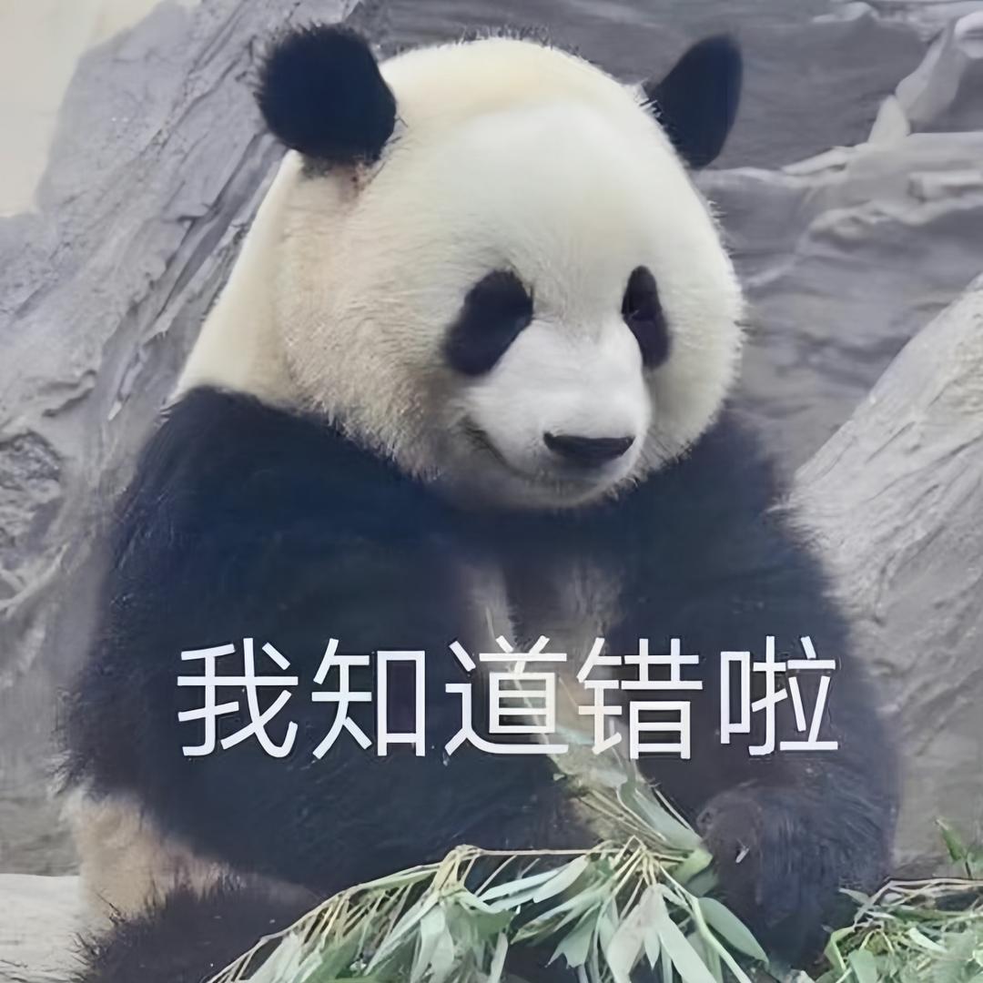 🌈🐼於嘟嘟