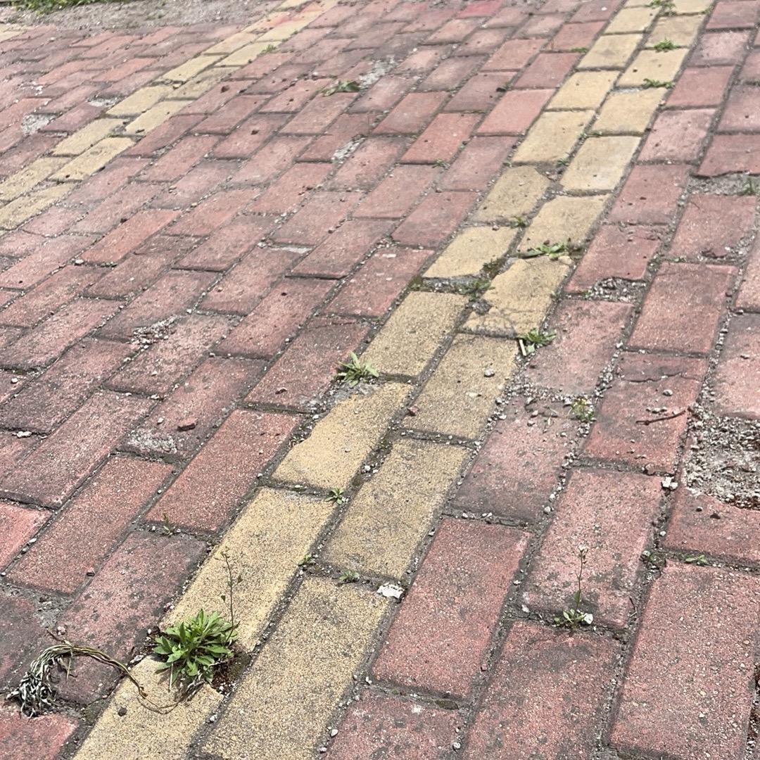 雨中奔跑