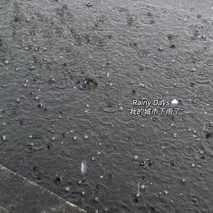 唯爱🐶