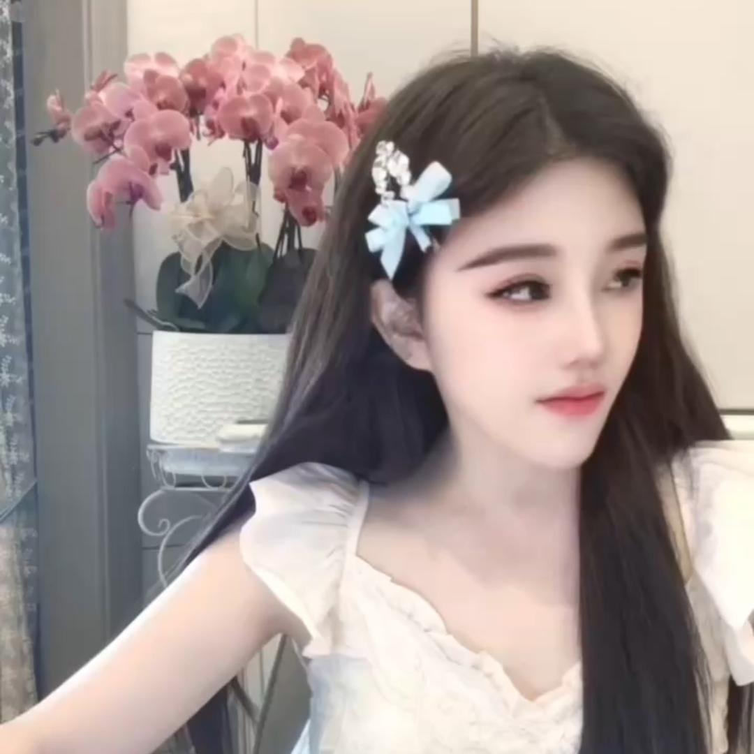 芸公主