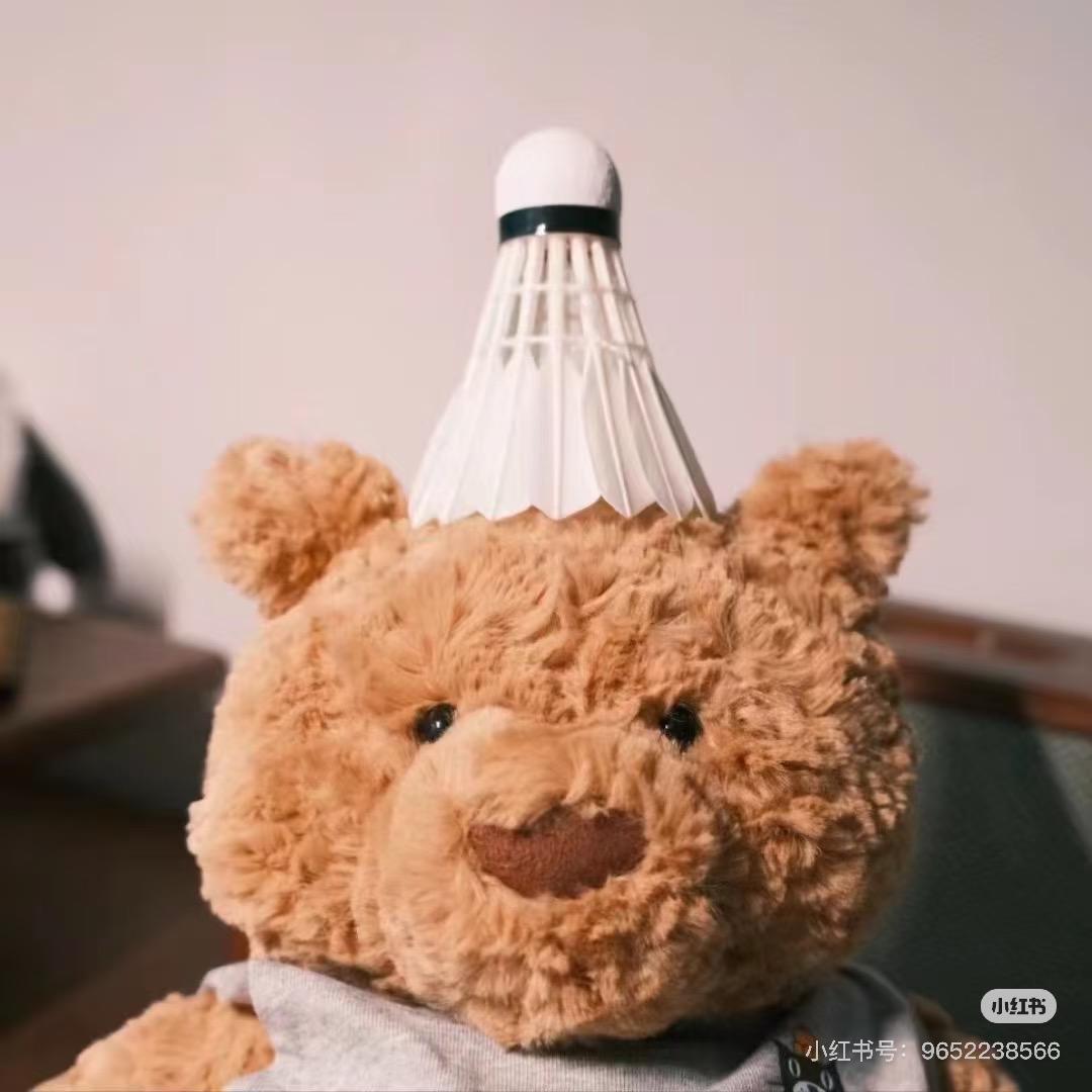 龙弟羽球