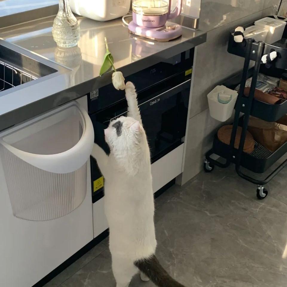 可乐瓶（三角洲行动）