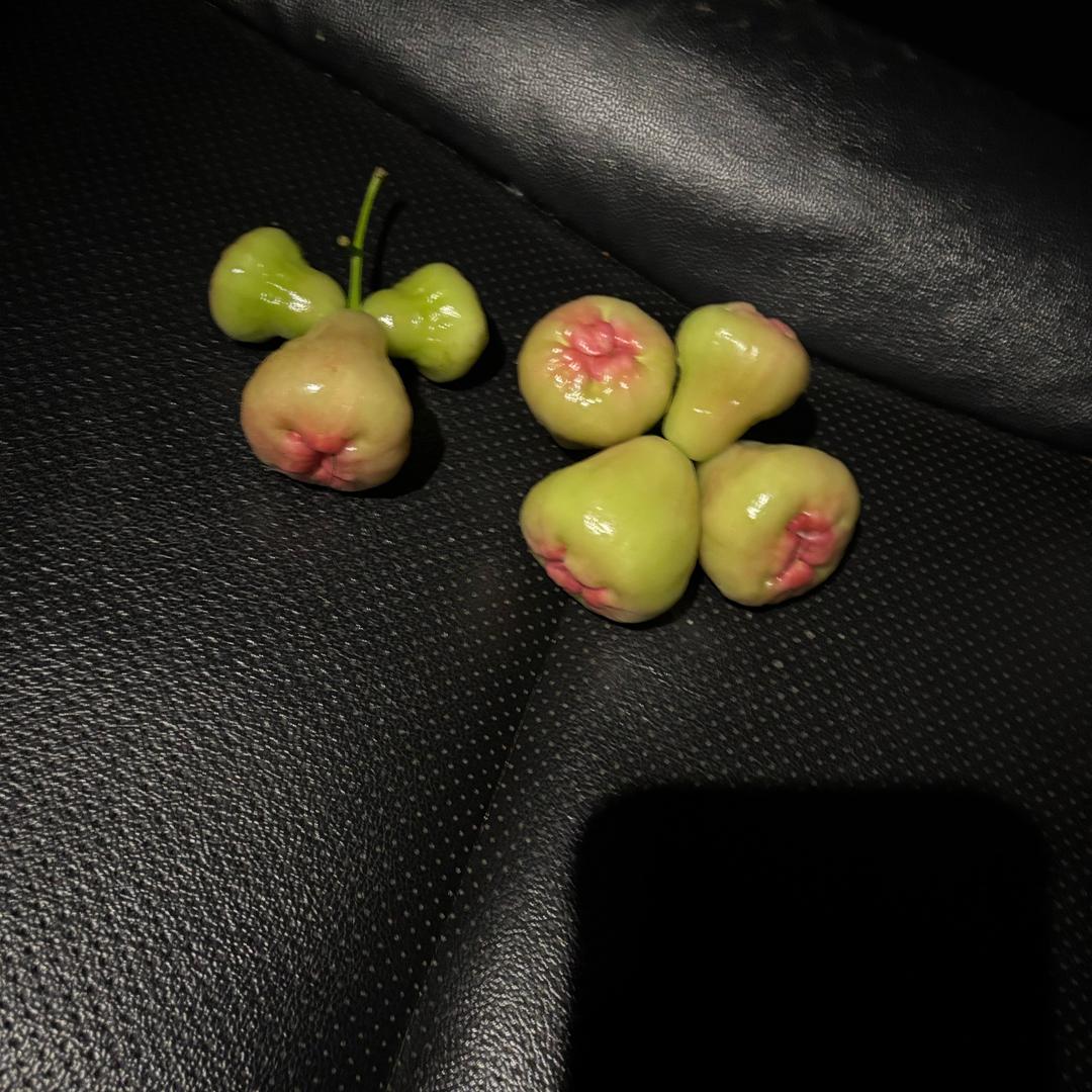 物是人非