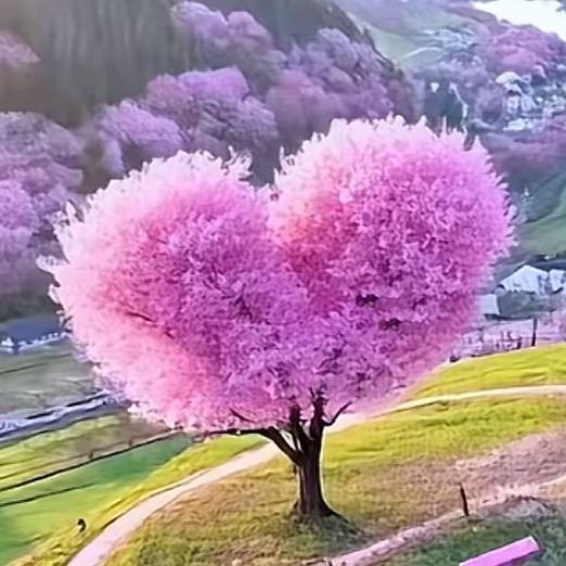 为你而来