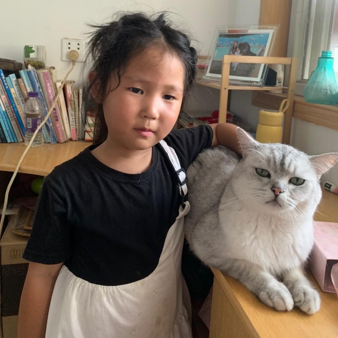 梦里花落