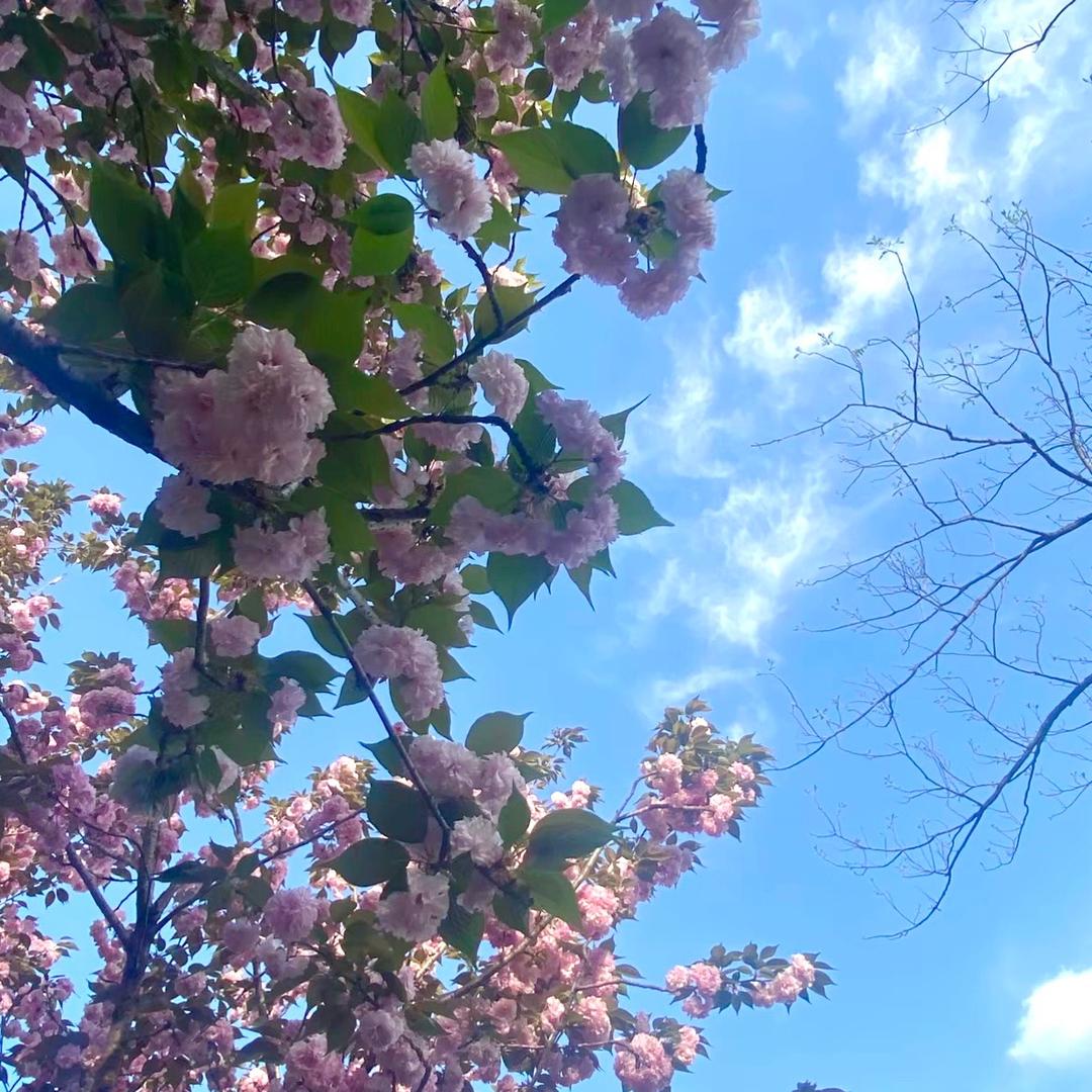 寻味山货农村现收