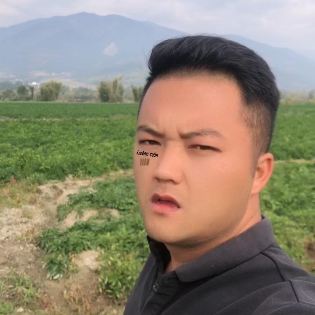 农村刀小振（两亩哥）