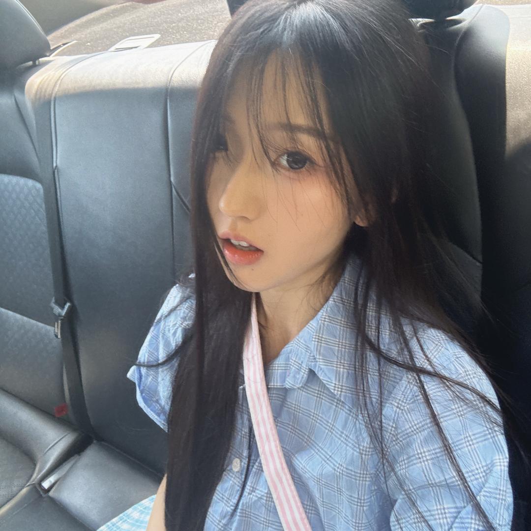 小雏菊。（长高版）