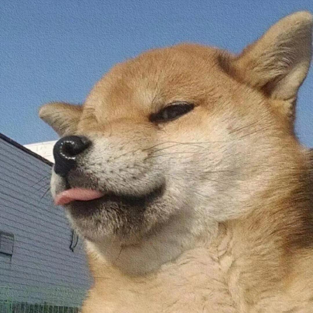 猕猴桃