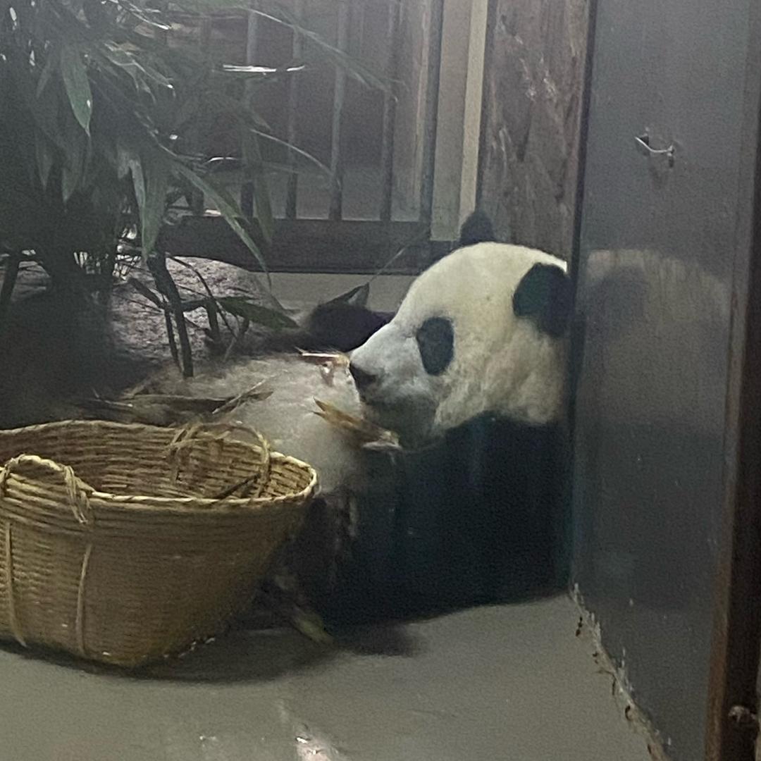 木木夕*