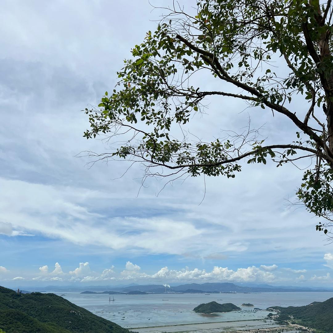 小辣椒🌶️ 🌶️