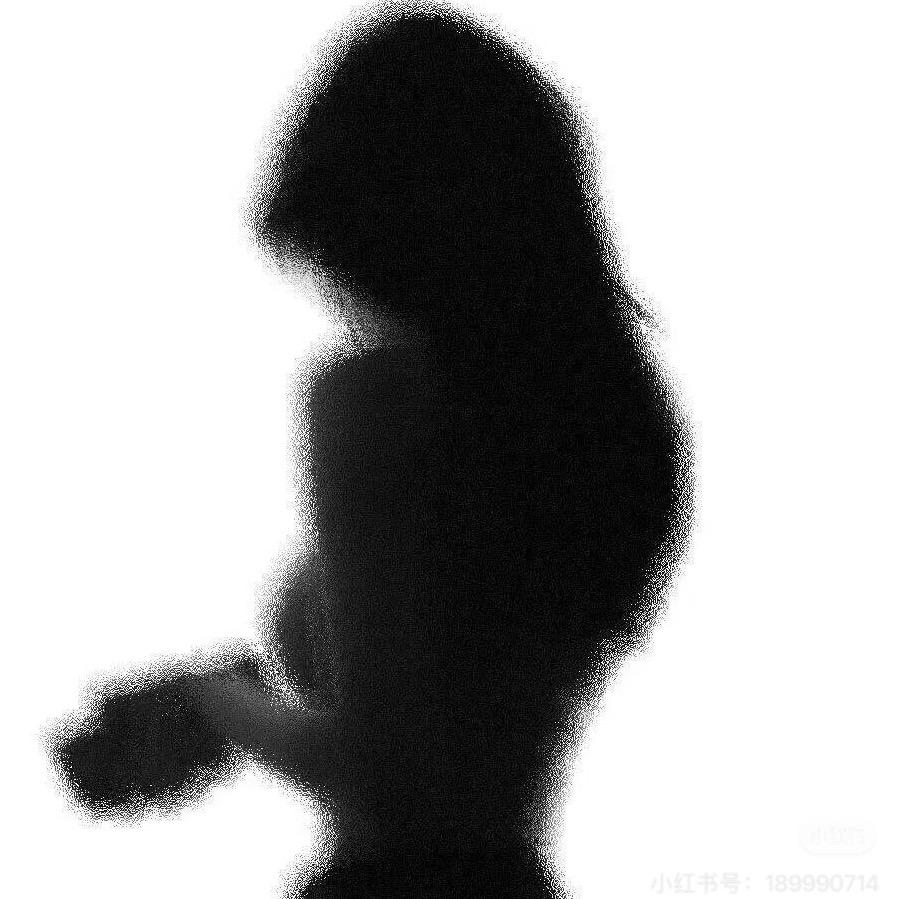 暴龙芭比🏋🏽‍♀️