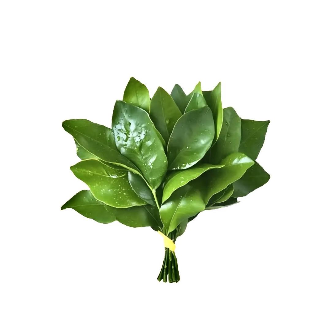 陈陈啊