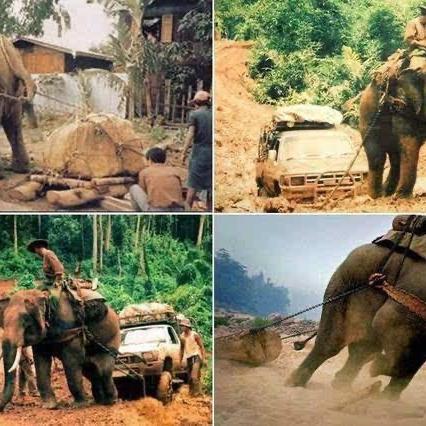 满山好货（款圆）