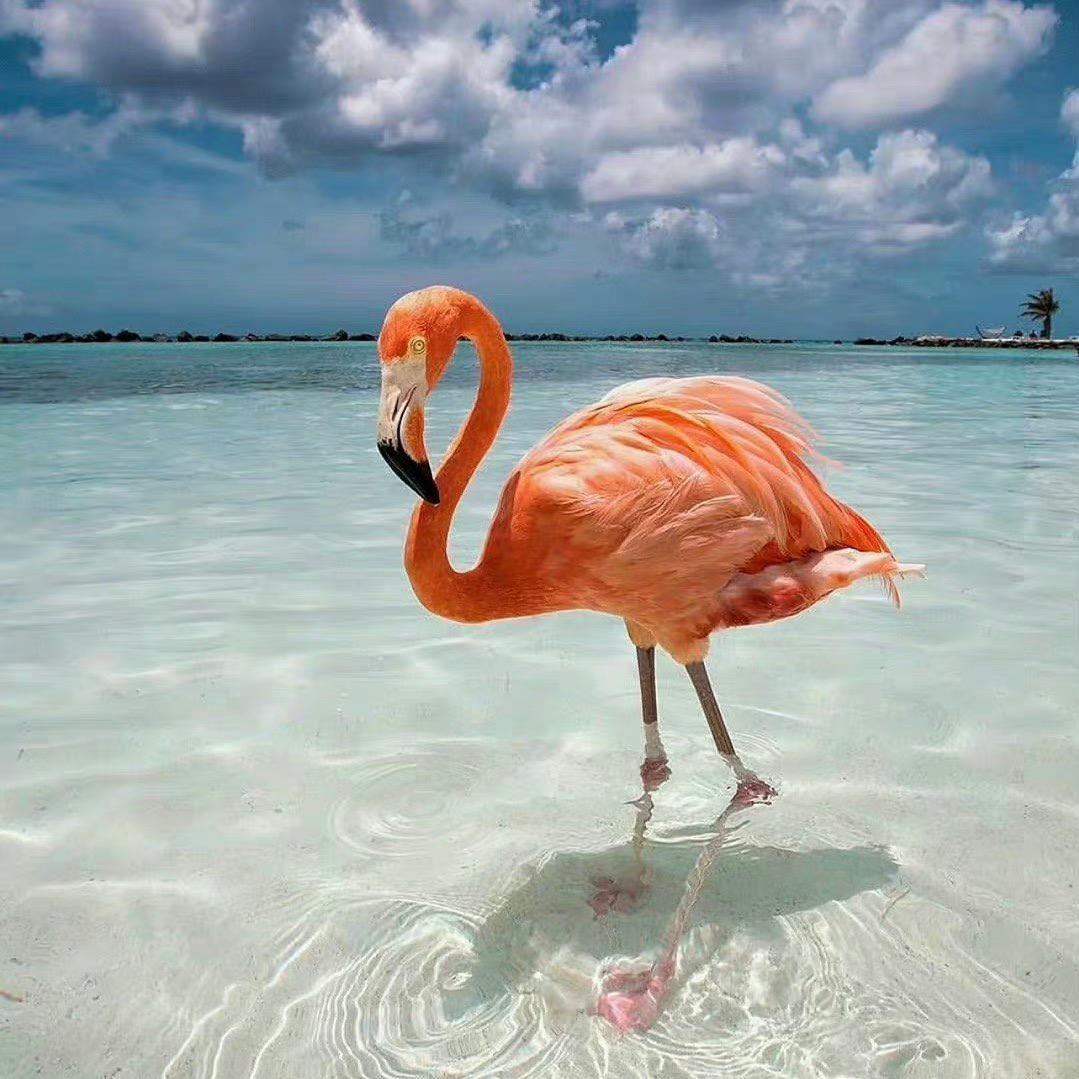 乘风破浪、朝花夕拾