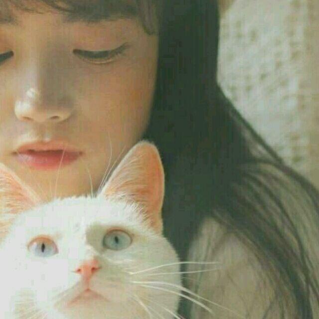 🌈🌈🌈尼力🌸🌸🌸🌻