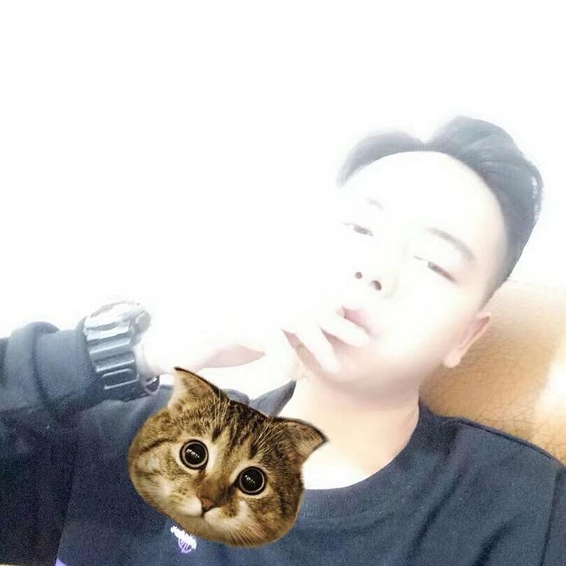 怡红院CEO