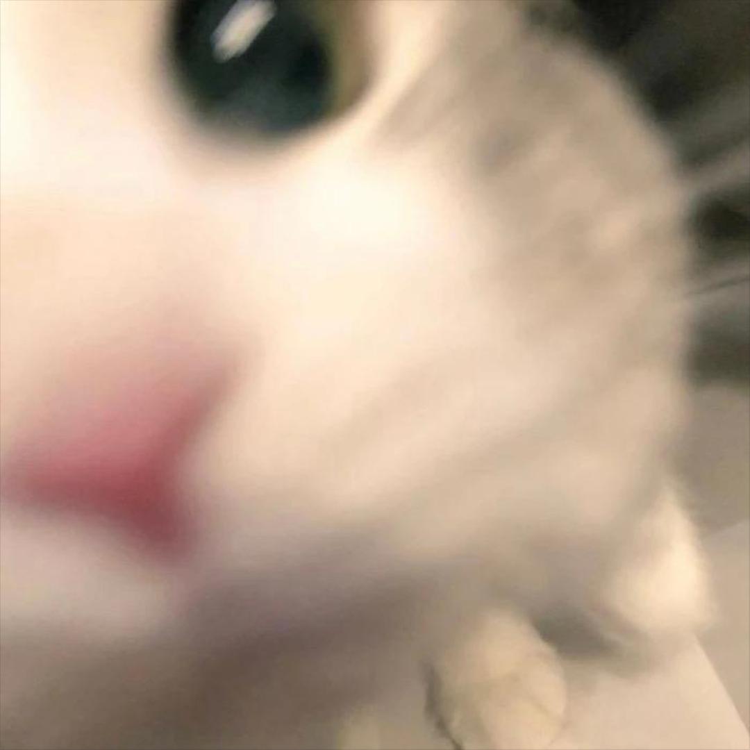 2i
