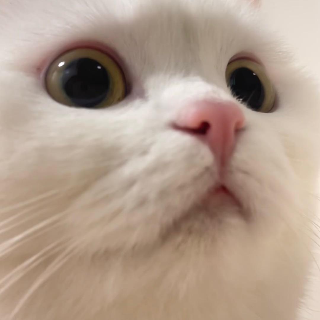 aw主观营销号