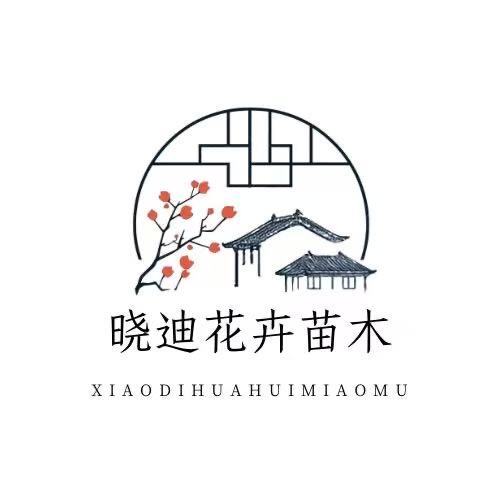 晓迪花卉苗木基地