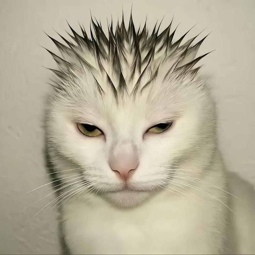 秋水(三角洲行动)