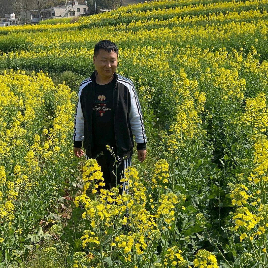 阳阳山货甄选形象号