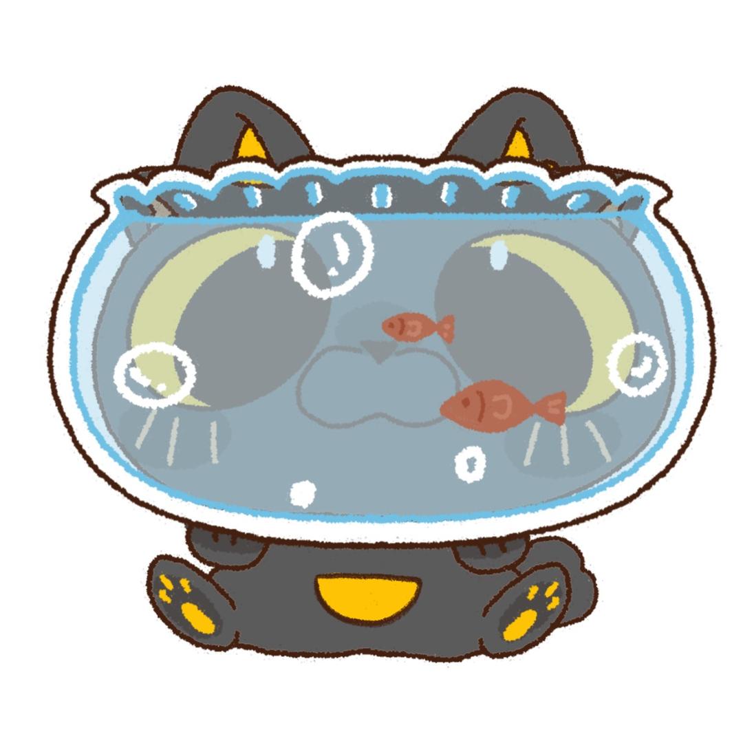 玄猫又又