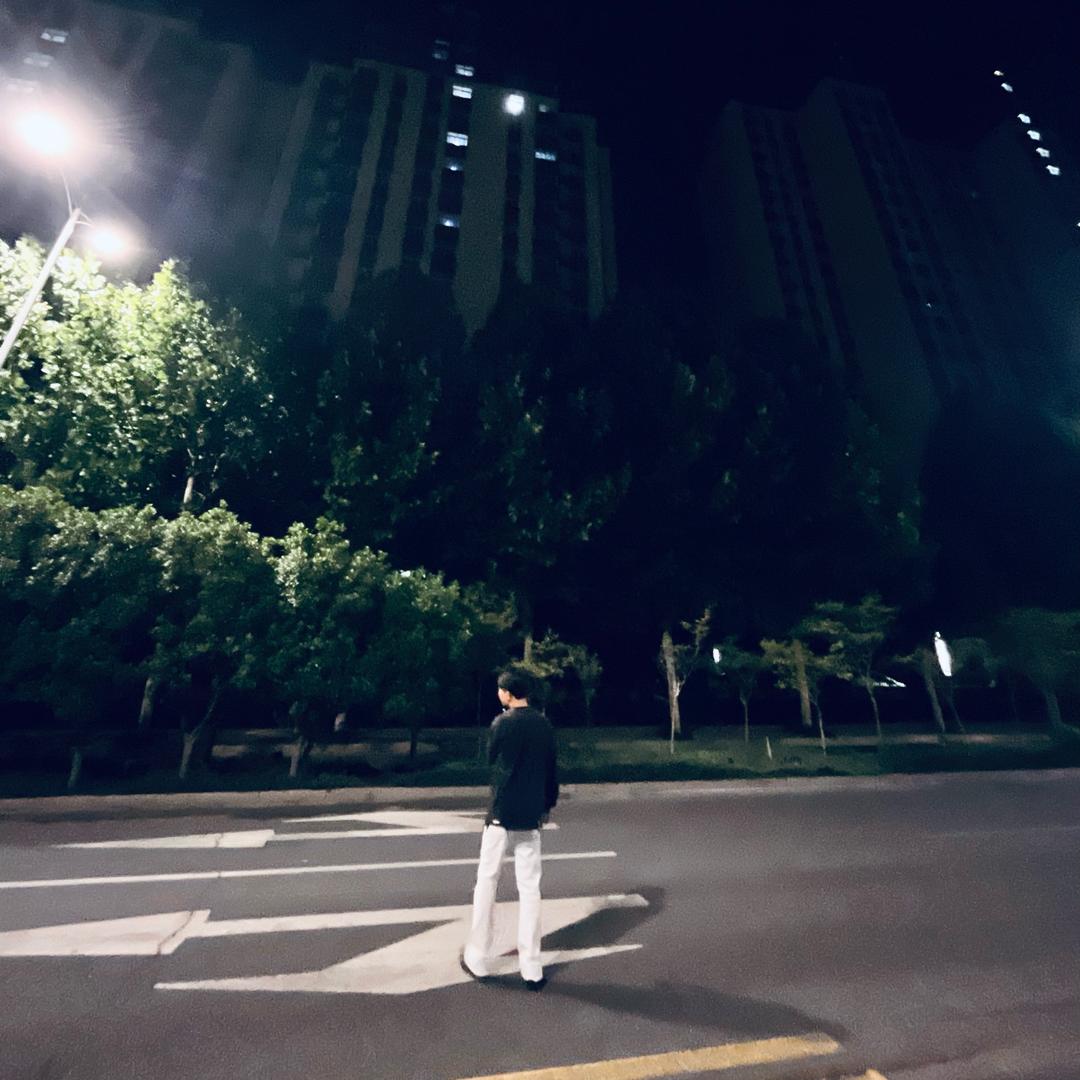 新华二路滑县炒饭王