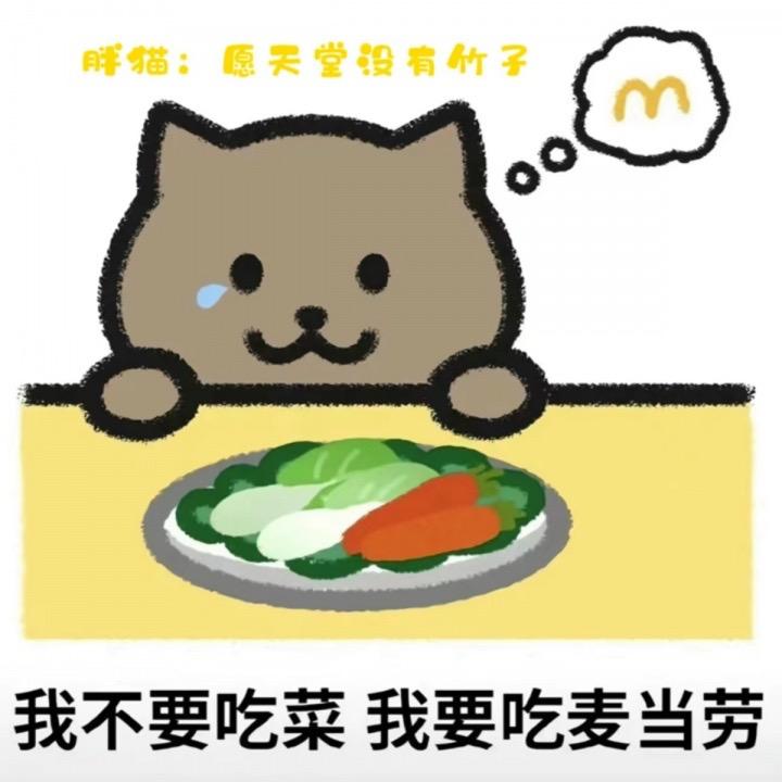 诗和远方¥¥¥¥
