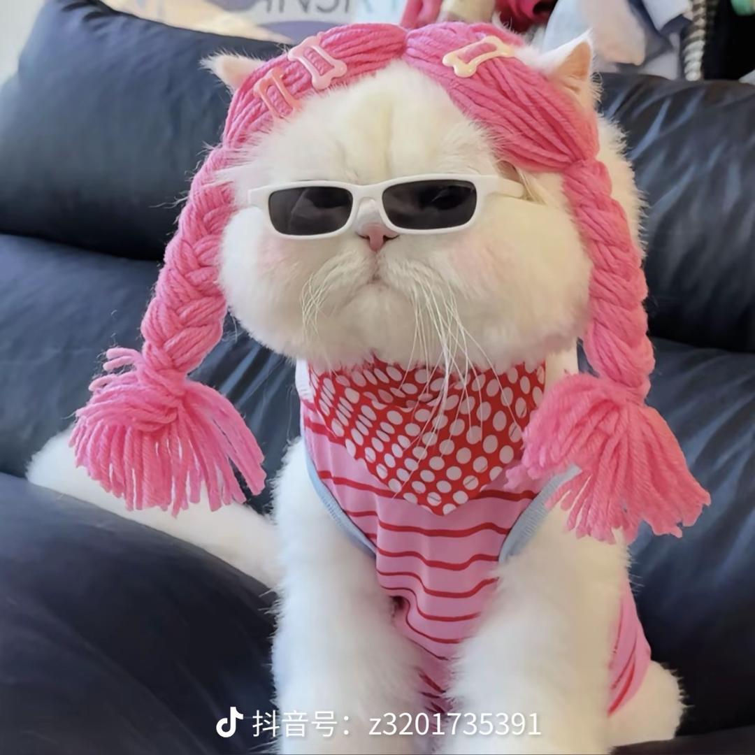 雅雅