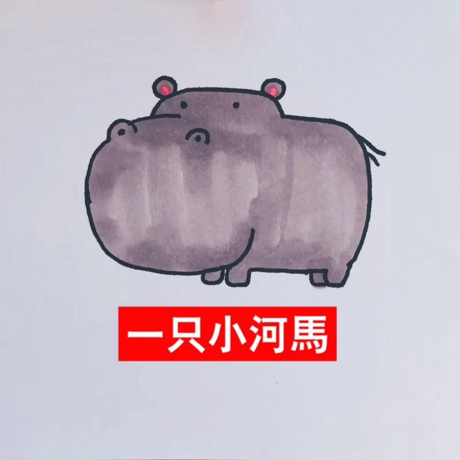 一只小河马
