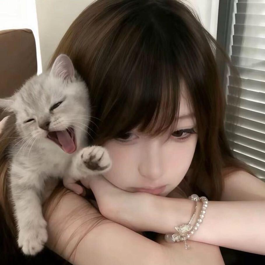 先把钱转我
