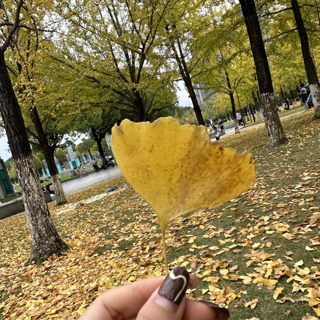 爱吃小番茄🍅