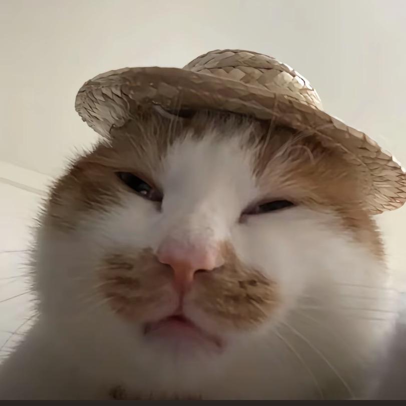 Cc-