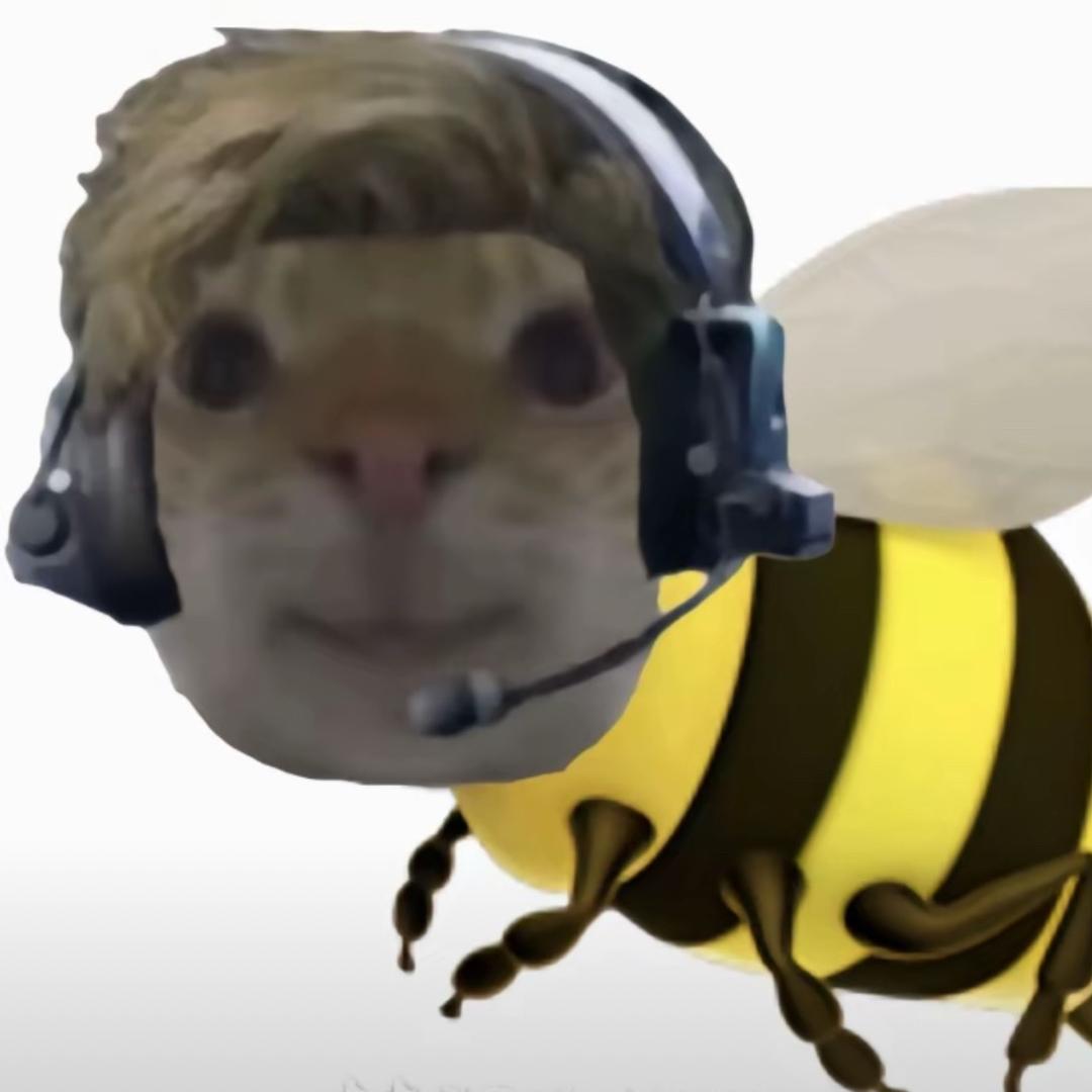 贝壳